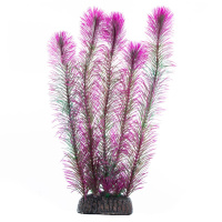 Растение (Laguna) 20см Перестолистник фиолетовый