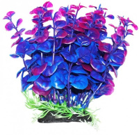 Растение (Уют) ВК307 Бакопа сине-фиолетовая 12см