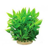 Растение (Тритон) Куст 1210/8148 зеленое 12см