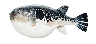 Игрушка (Чистый котик) Рыба- шар с кош. мятой 20см д/кошек