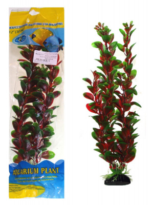 Растение (Aqvarium Plant) Людвигия красно-зеленая 30см