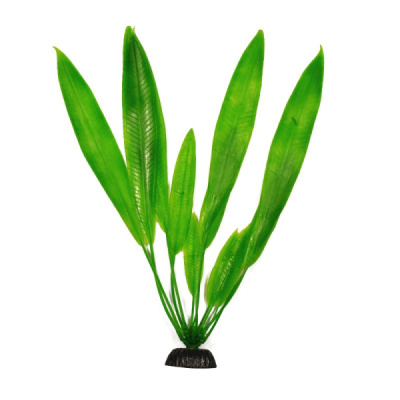 Растение (Laguna) 20см Эхинодорус зеленый