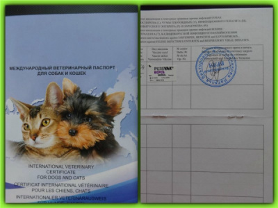 Ветеринарный паспорт универсальный