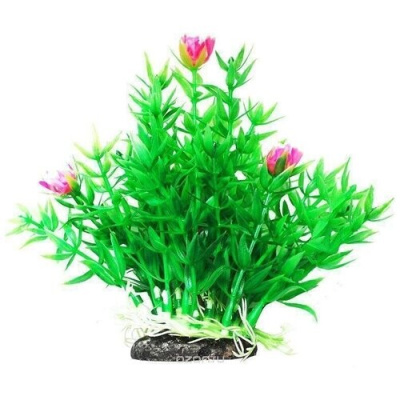 Растение (Уют) ВК303 Гемиантус с розовыми цветами 12см