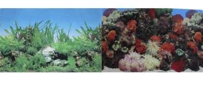 Фон (Praime) Кораллы/растительный 50*100см