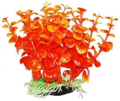Растение (Уют) ВК308 Бакопа оранжевая 12см
