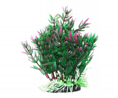 Растение (Уют) ВК311 Гетерантера зелено-фиолетовая 12см