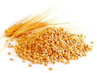 Пшеница 1кг (пакет)